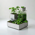 Minimalist Concrete Self-Watering Smart Garden Kit with WiFi Moisture Monitoring