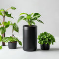 Smart Garden WiFi Auto Plant Watering Kit - Minimalist Black
