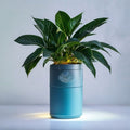 Midnight Garden WiFi Plant Watering System with Smart Scheduling