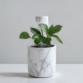 Smart Marble Plant Waterer - App-Controlled Automatic Watering System